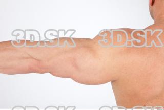 Arm texture of Dale 0002